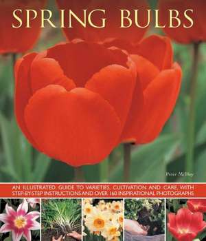 Spring Bulbs: How to Create and Maintain Beautiful Miniature Trees and Shrubs, Shown in More Than 230 Step-By-Step Photographs de PETER MCHOY