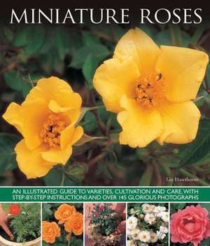 Miniature Roses de Lin Hawthorne