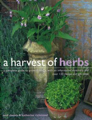 A Harvest of Herbs: A Complete Guide to Growing Herbs, with an Informative Directory and Over 120 Recipe and Gift Ideas de Andi Clevely