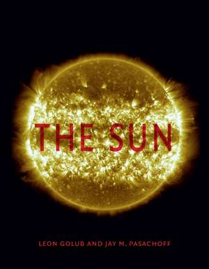 The Sun de Leon Golub