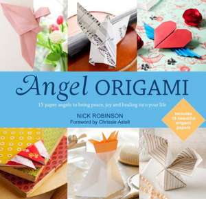 Angel Origami de Nick Robinson