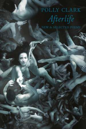 Afterlife de Polly Clark