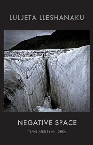 Negative Space de Luljeta Lleshanaku