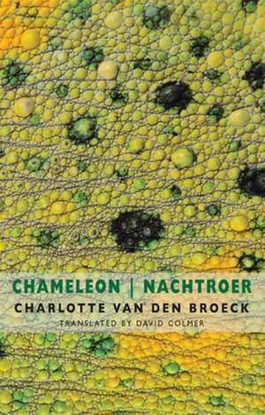 Chameleon | Nachtroer de Charlotte Van den Broeck