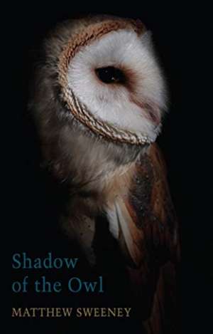 Shadow of the Owl de Matthew Sweeney