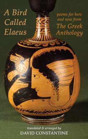 Bird Called Elaeus de David Constantine