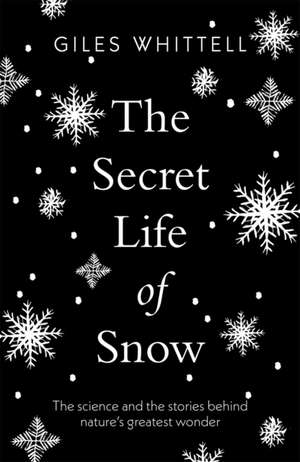 The Secret Life of Snow de Giles Whittell