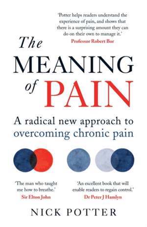 The Meaning of Pain de Nick Potter