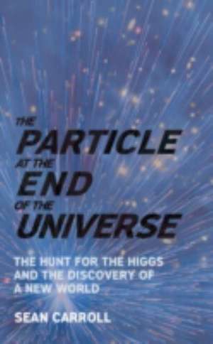 Particle at the End of the Universe