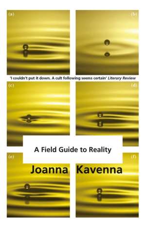 A Field Guide to Reality de Joanna Kavenna