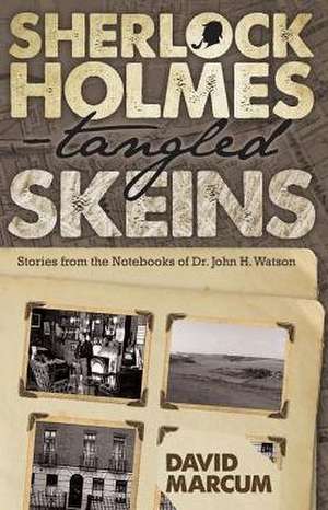 Sherlock Holmes - Tangled Skeins - Stories from the Notebooks of Dr. John H. Watson de David Marcum