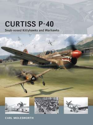 Curtiss P-40: Snub-nosed Kittyhawks and Warhawks de Carl Molesworth