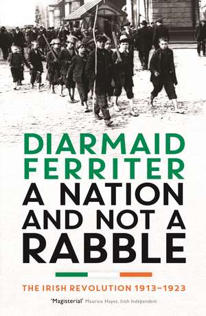 A Nation and not a Rabble: The Irish Revolution 1913–23 de Diarmaid Ferriter