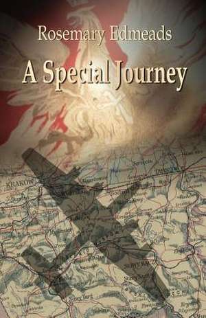 A Special Journey de Rosemary Edmeads