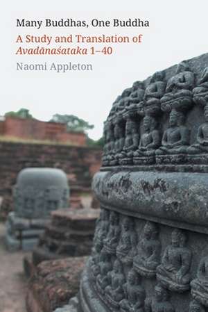 Many Buddhas, One Buddha de Naomi Appleton