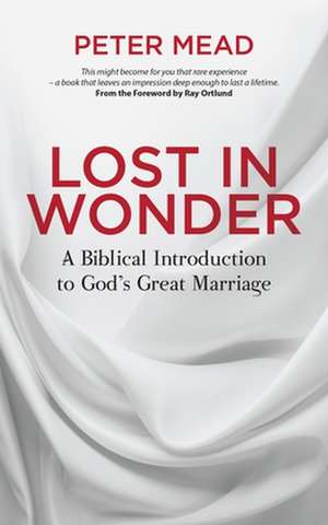 Lost in Wonder de Peter Mead