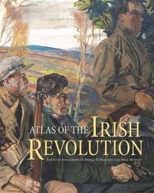 Atlas of the Irish Revolution de Donal O. Drisceoil