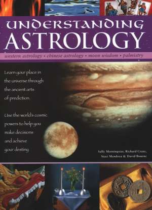 Understanding Astrology de Sally Morningstar