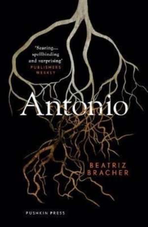 Antonio de Beatriz Bracher