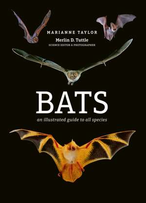 Bats de Marianne Taylor