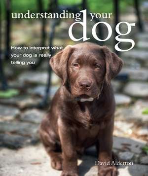 Understanding Your Dog: How to interpret what your dog is really telling you de David Alderton