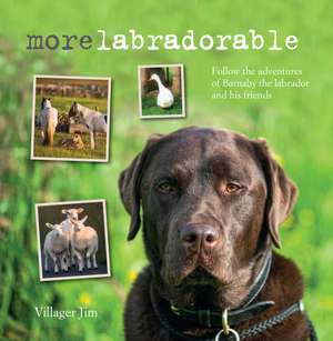 Morelabradorable: Follow the adventures of Barnaby the labrador and his friends de Villager Jim