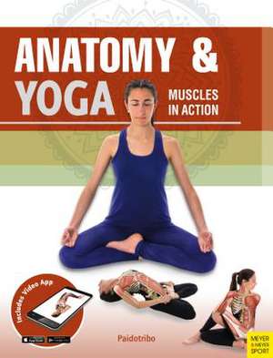 Anatomy & Yoga: Muscles in Action de Mireia Patino Coll