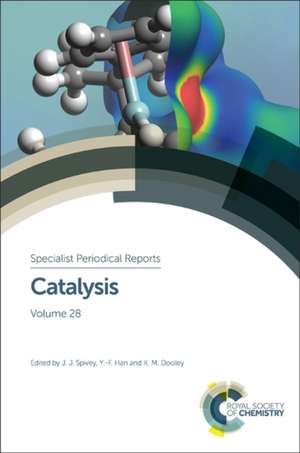 Catalysis: Volume 28 de James Spivey