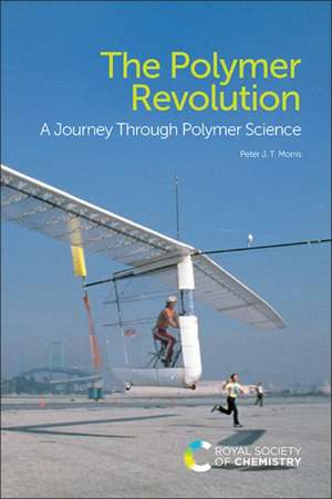 The Polymer Revolution de Peter J T Morris