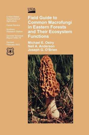 Field Guide to Common Macrofungi in Eastern Forests and Their Ecosystem Function de Michael E. Ostry