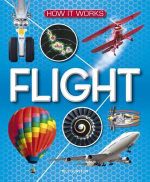 How It Works: Flight de BillOBE Gunston