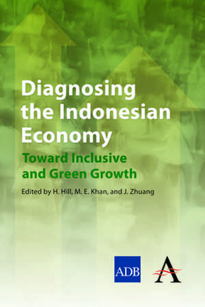 Diagnosing the Indonesian Economy