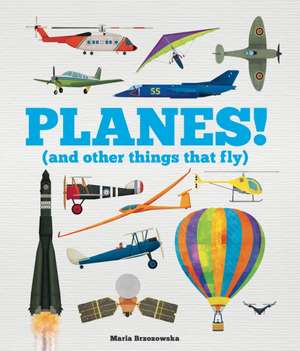 Planes! de Bryony Davies