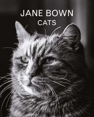 Jane Bown: Cats de Jane Bown