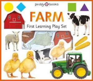 First Learning Play Set de Priddy Books