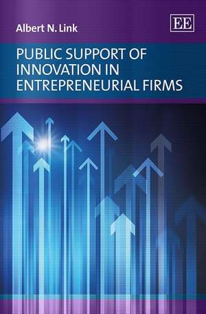 Public Support of Innovation in Entrepreneurial Firms de Albert N. Link