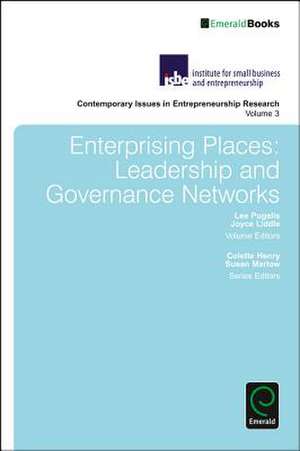 Enterprising Places – Leadership and Governance Networks de Joyce Liddle