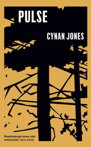 Pulse de Cynan Jones