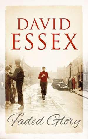 FADED GLORY de David Essex