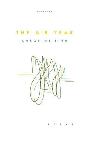 The Air Year de Caroline Bird
