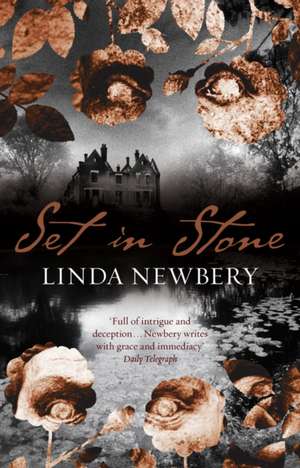 Set In Stone de Linda Newbery