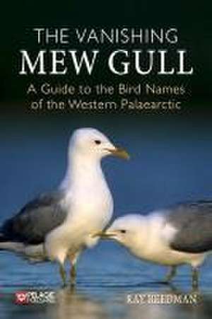 The Vanishing Mew Gull de Ray Reedman