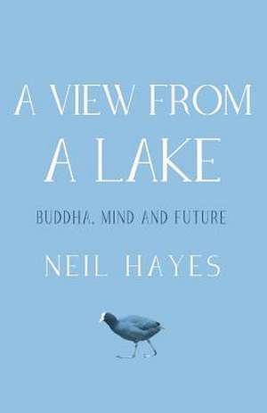 A View from a Lake: Buddha, Mind and Future de Neil Hayes