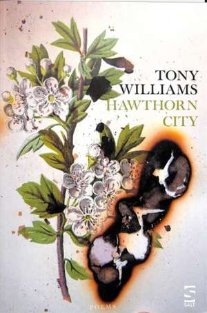 Williams, T: Hawthorn City de Tony Williams