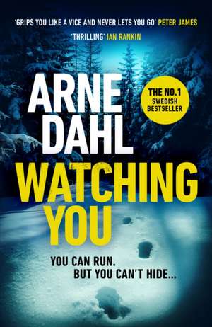 Watching You de Arne Dahl