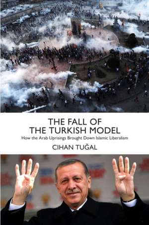 The Fall of the Turkish Model de Cihan Tugal