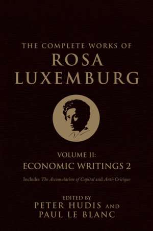 The Complete Works of Rosa Luxemburg, Volume II: Economic Writings 2 de Rosa Luxemburg