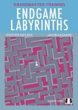 Endgame Labyrinths de Jacob Aagaard