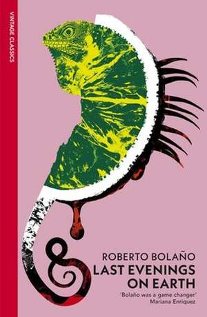 Last Evenings On Earth de Roberto Bolano