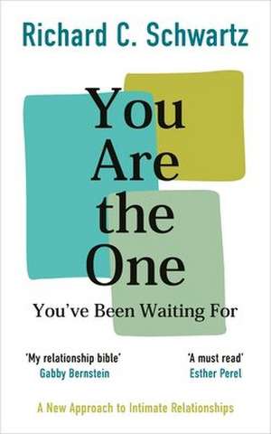 You Are the One You've Been Waiting For de Richard Schwartz